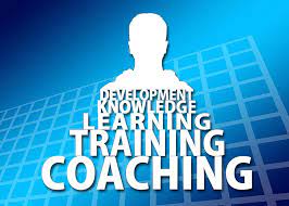 Executive Coaching and Support